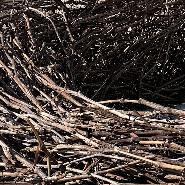 GUTHY SCHÜLER Rebengeflecht2web