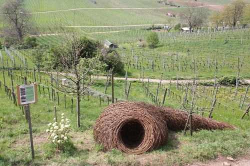 Cornucopia LandArt Installation 2019 Guthy Schüler