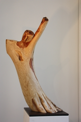 verwurzelt fliegen web 4497