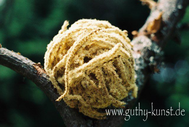 Natur-Skulptur von Babara Guthy: Kugel