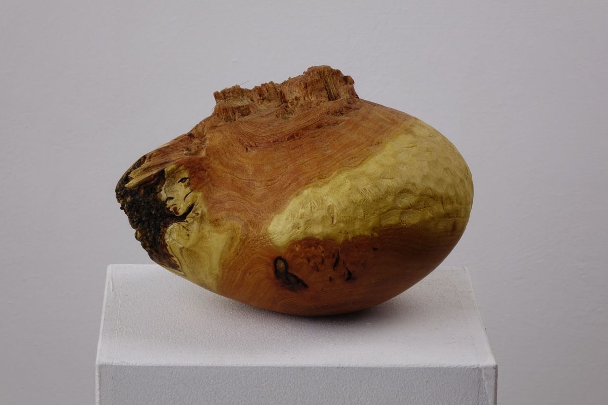 Skulptur von Barbara Guthy aus Gleditschienholz: Weltenei