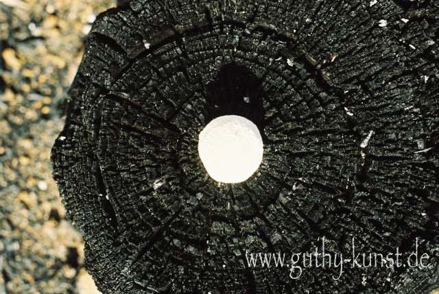 Natur-Skulptur von Babara Guthy: Kalkkugel auf verkohltem Baumstumpf