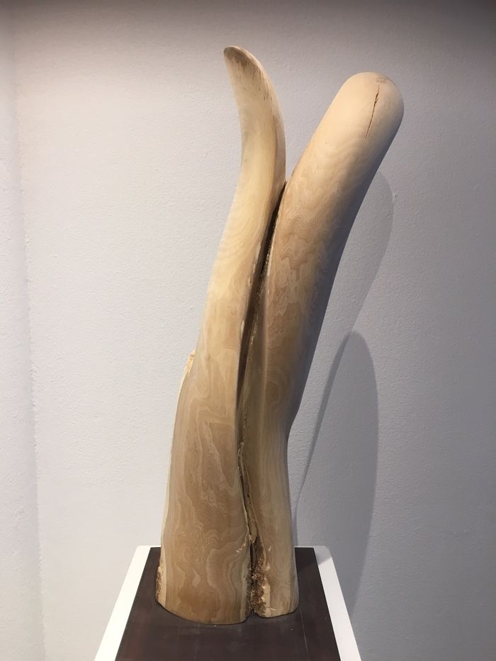 Holz-Skulptur von Barbara Guthy: Dualseele